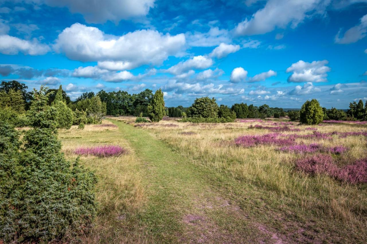 Ferienwohnung Heide View บิสพิงเงน ภายนอก รูปภาพ