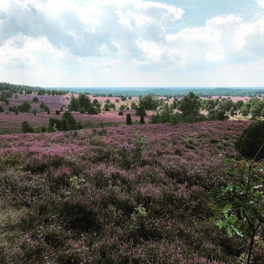 Ferienwohnung Heide View บิสพิงเงน ภายนอก รูปภาพ
