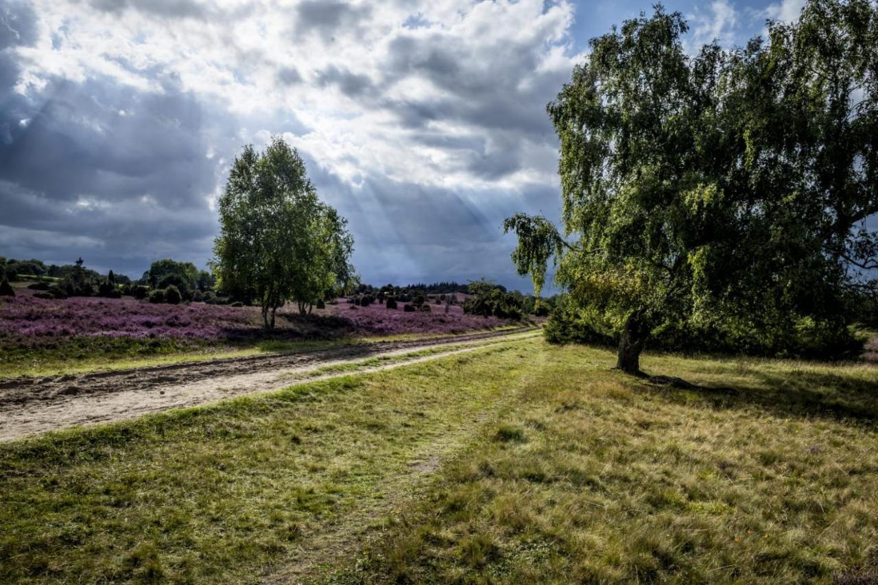 Ferienwohnung Heide View บิสพิงเงน ภายนอก รูปภาพ