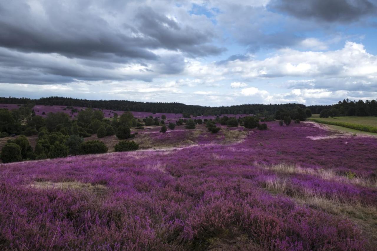 Ferienwohnung Heide View บิสพิงเงน ภายนอก รูปภาพ