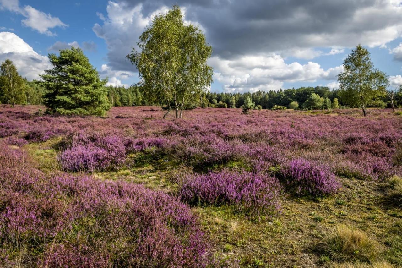 Ferienwohnung Heide View บิสพิงเงน ภายนอก รูปภาพ