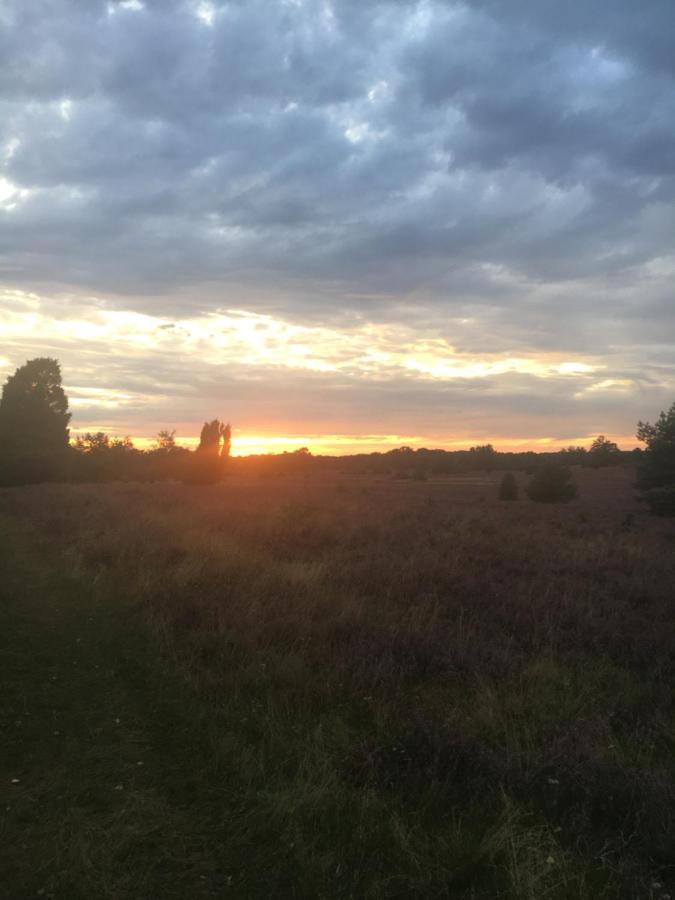 Ferienwohnung Heide View บิสพิงเงน ภายนอก รูปภาพ
