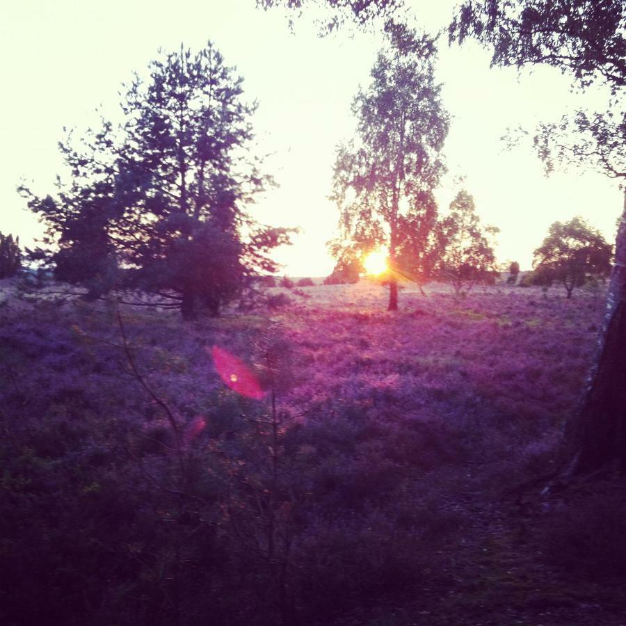 Ferienwohnung Heide View บิสพิงเงน ภายนอก รูปภาพ