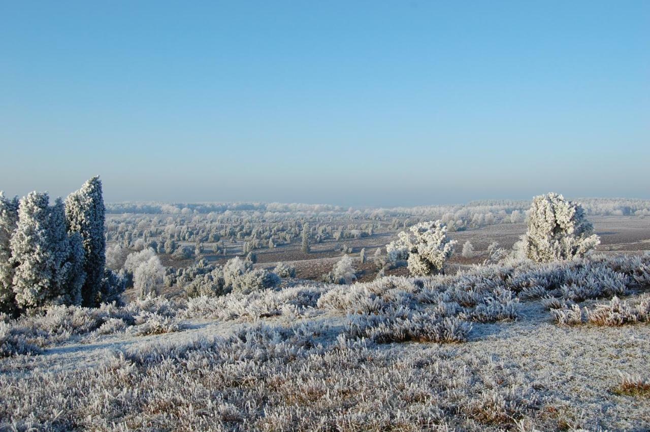 Ferienwohnung Heide View บิสพิงเงน ภายนอก รูปภาพ