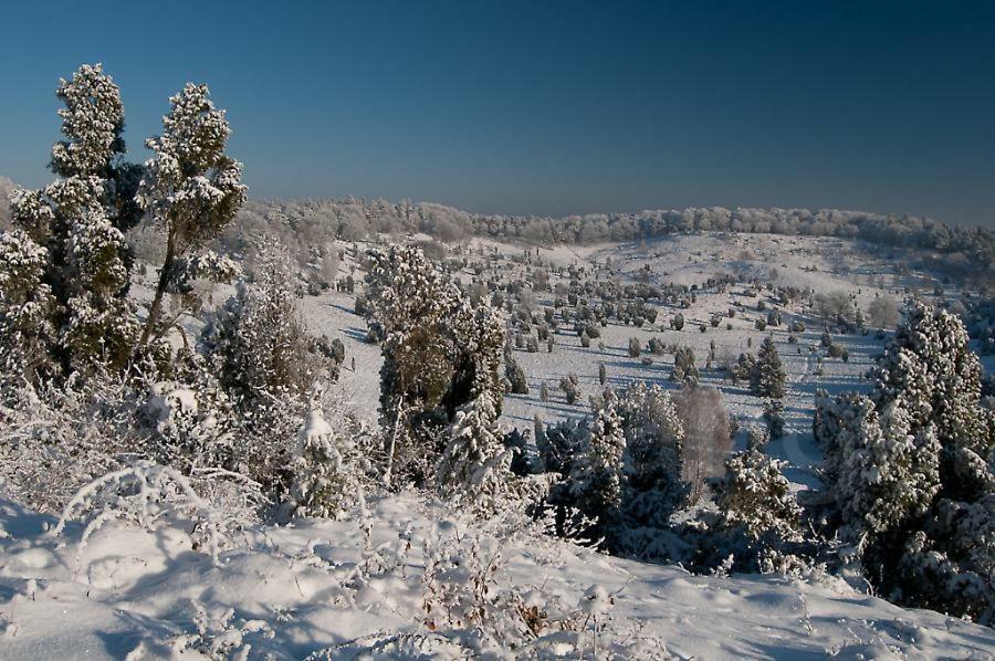 Ferienwohnung Heide View บิสพิงเงน ภายนอก รูปภาพ