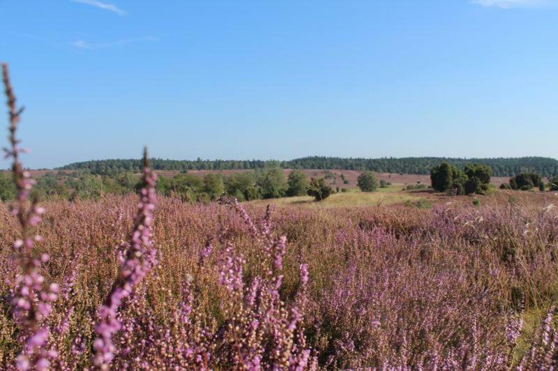 Ferienwohnung Heide View บิสพิงเงน ภายนอก รูปภาพ