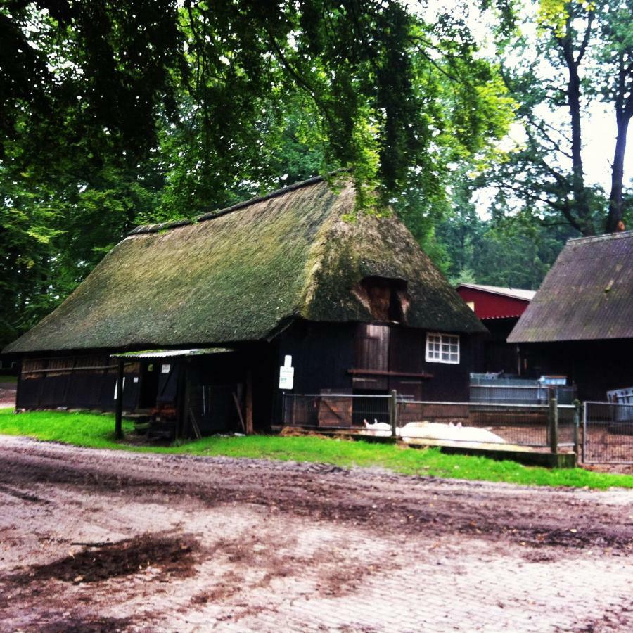 Ferienwohnung Heide View บิสพิงเงน ภายนอก รูปภาพ